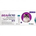 (i) Bravecto CAT Medium 6.2-13.8lbs